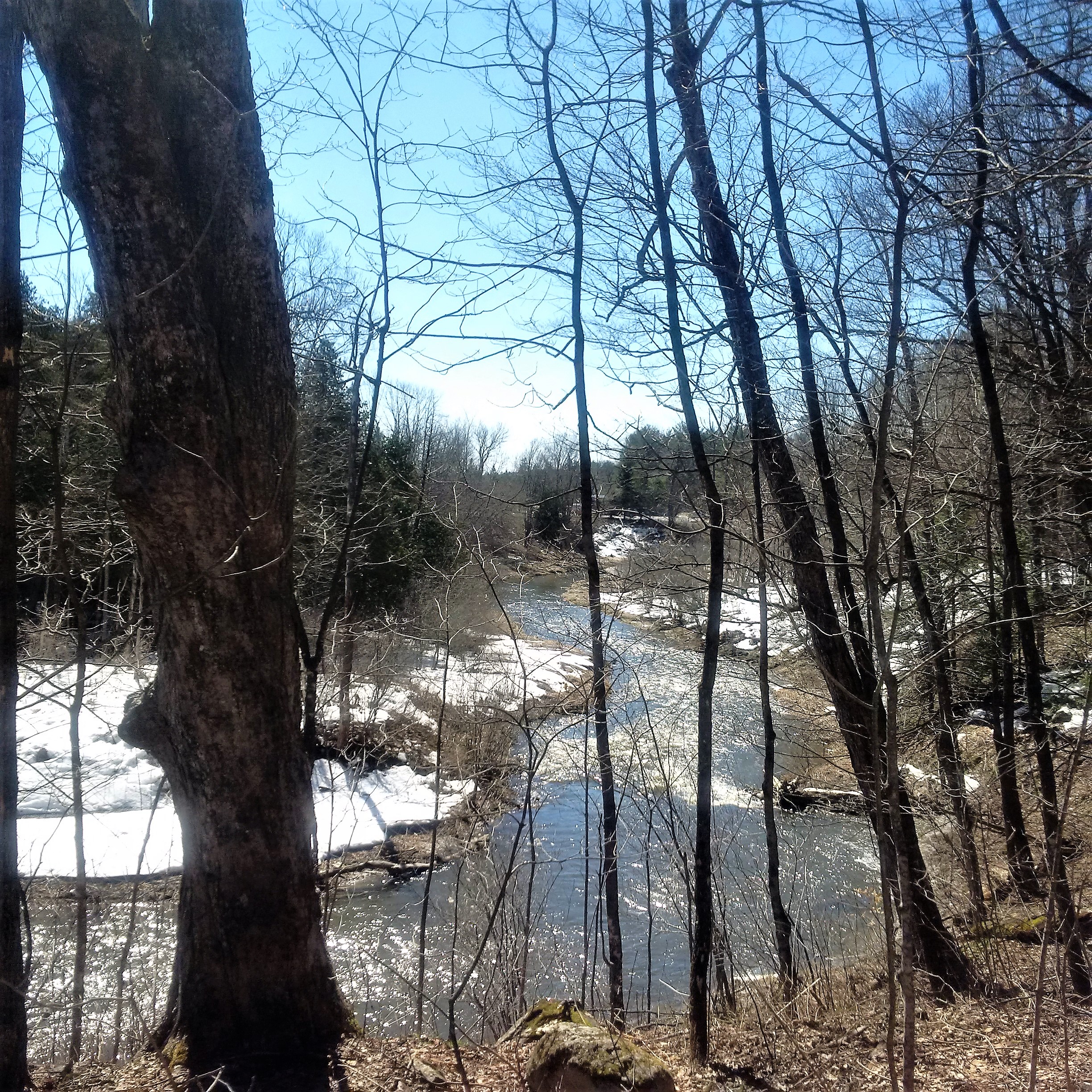 IMG_20170413_112844[207]