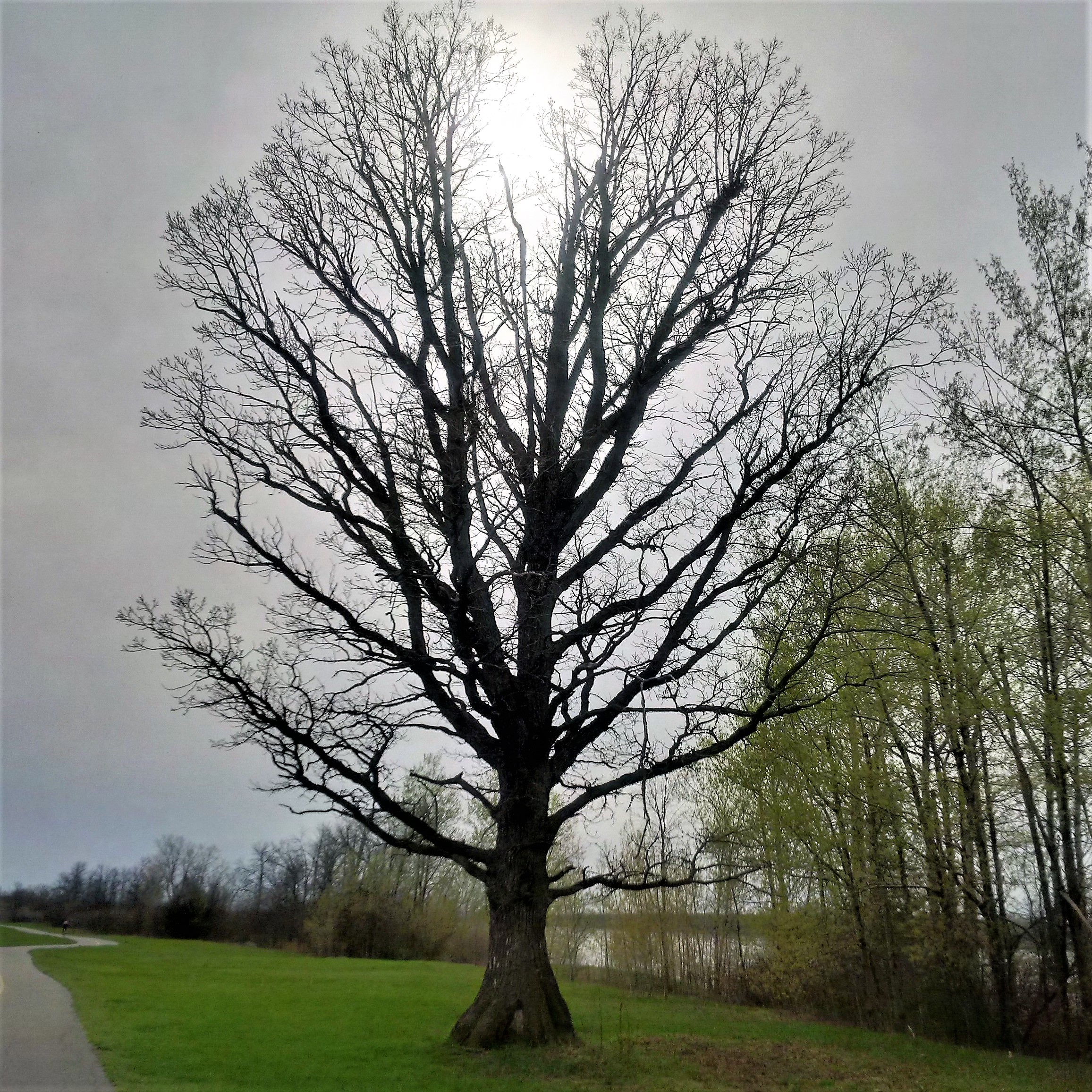 IMG_20170504_170125_hdr