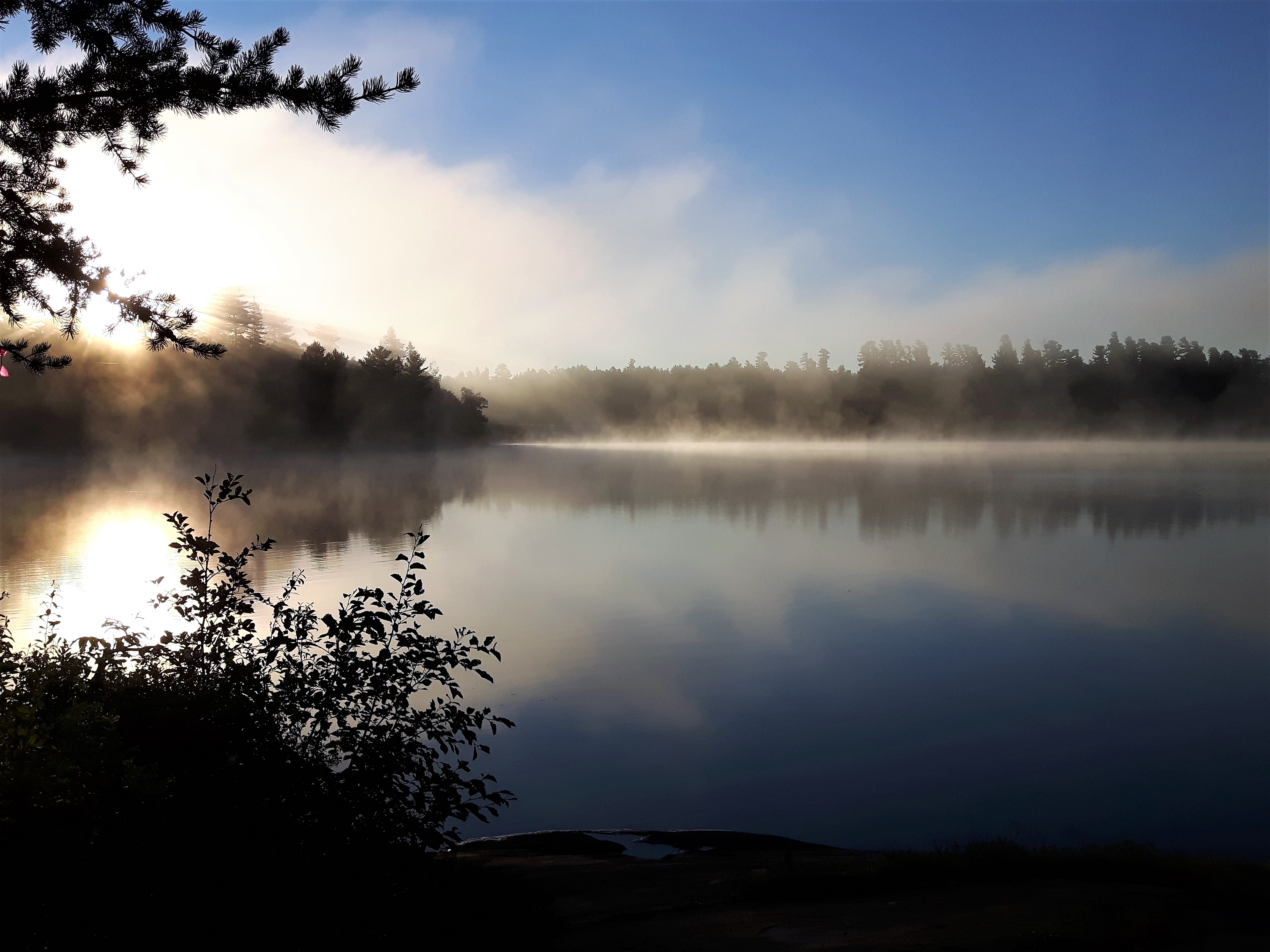 2017-08-16kranz mist