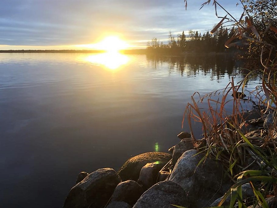 Baba Donya Gwen Taralson (2)