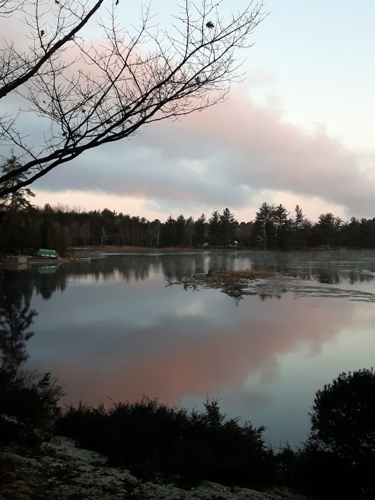 2017-11-11 Liz Kranz