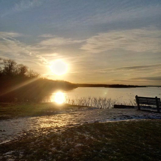 IMG_20171121_154656_hdr[1748]