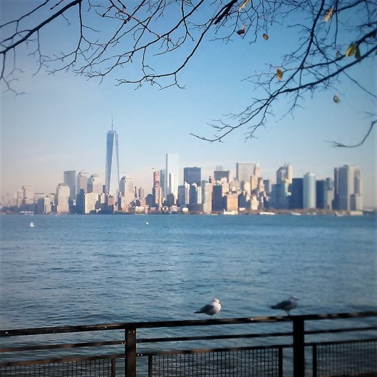 Liberty Skyline 2014-11-10 (2)