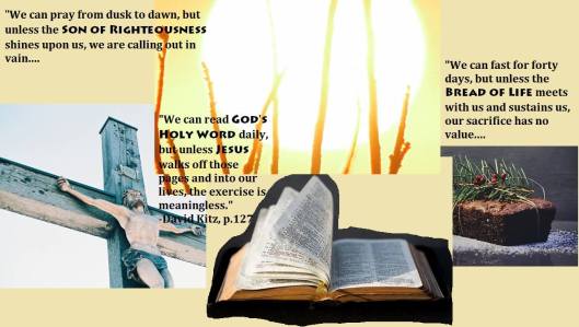 Lila Diller Collage - all photos courtesy of Unsplash