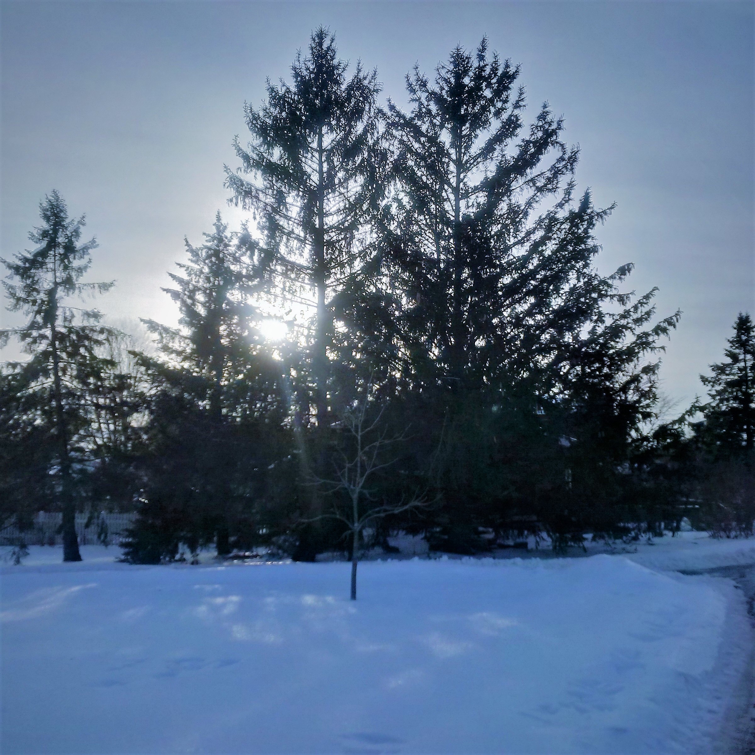 IMG_20180126_153549_hdr[2313]