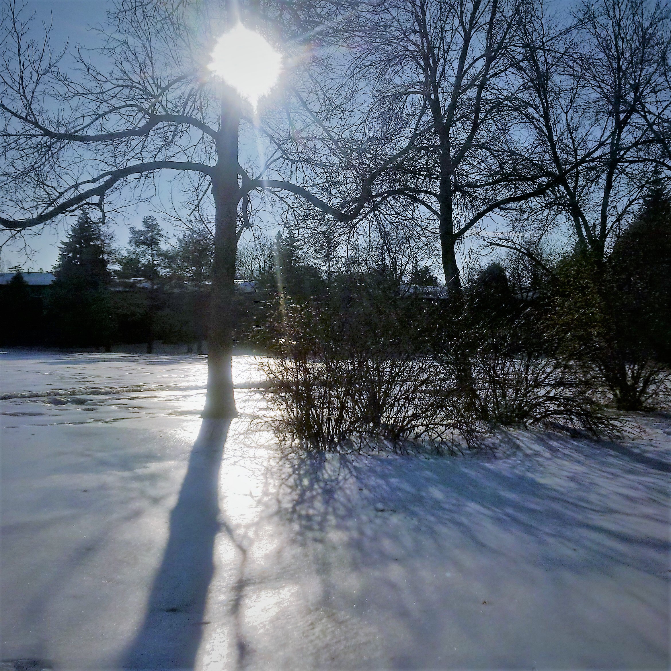 IMG_20180128_094152_hdr[2317]