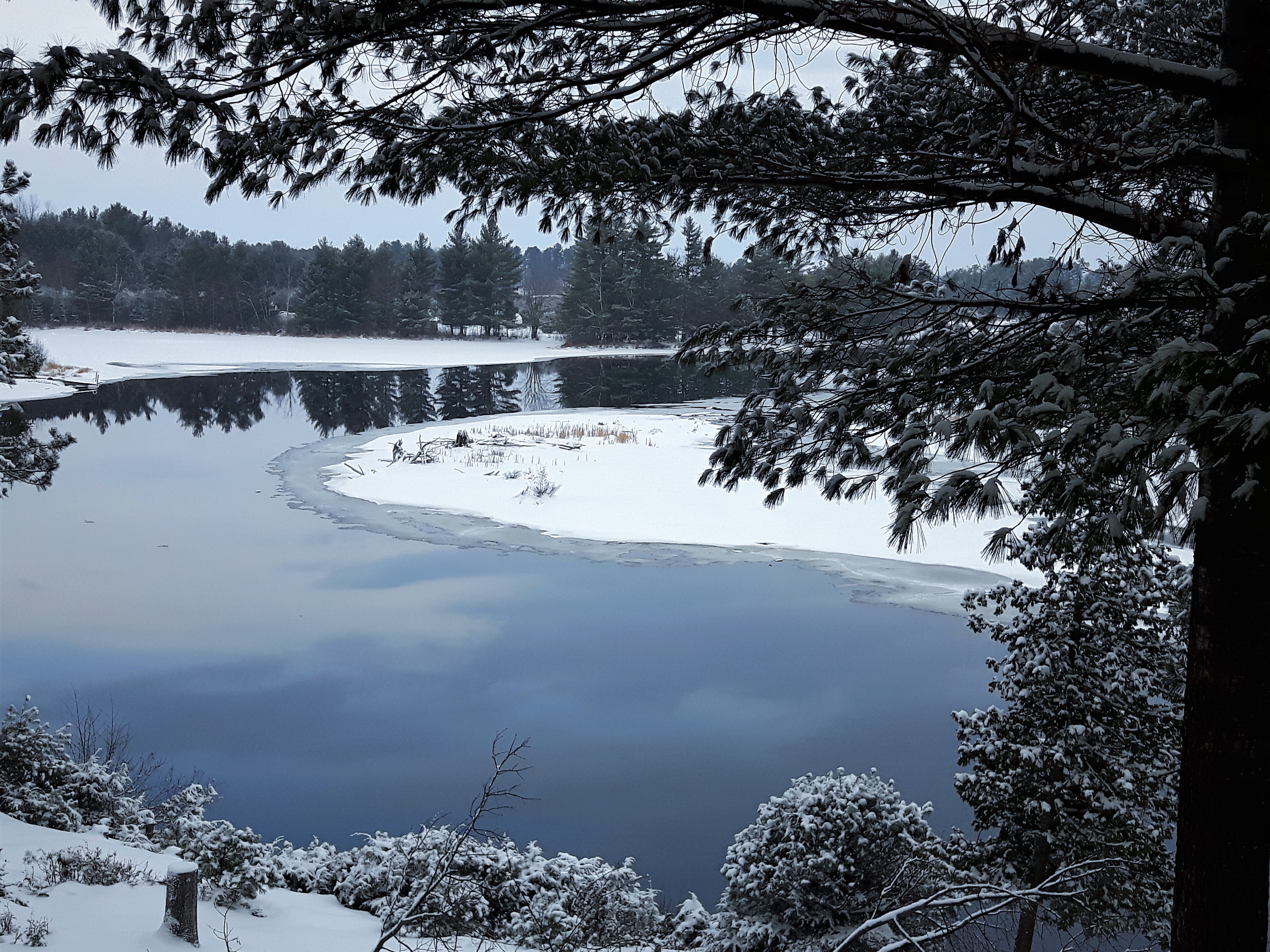 20180201_085243[2371] (2)