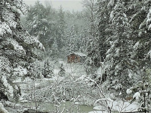 2018-04-04 Liz Kranz