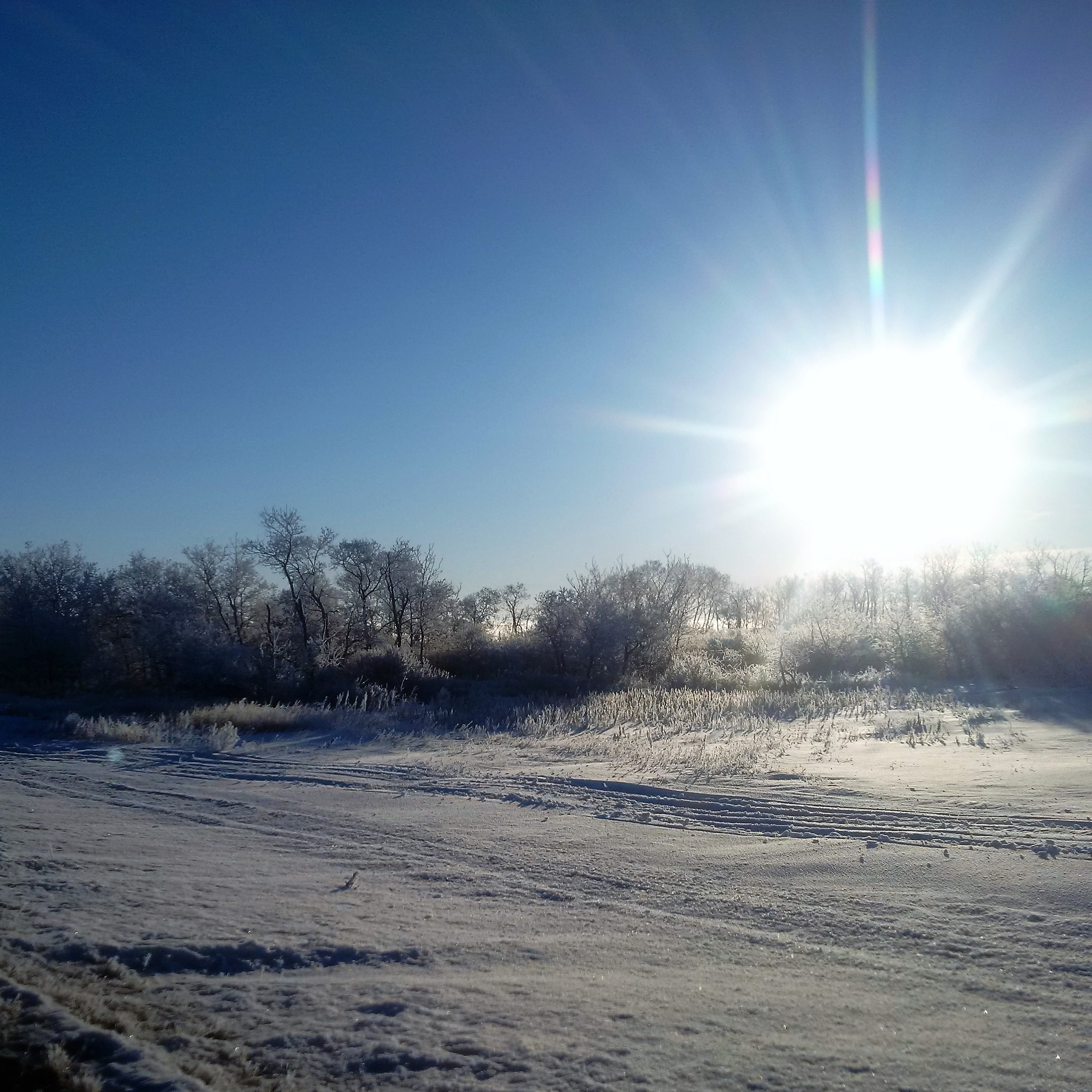 IMG_20180326_073412[3121]