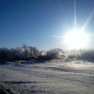 IMG_20180326_073412[3121]