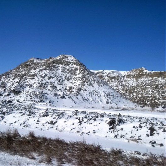 IMG_20180331_121510 (3)