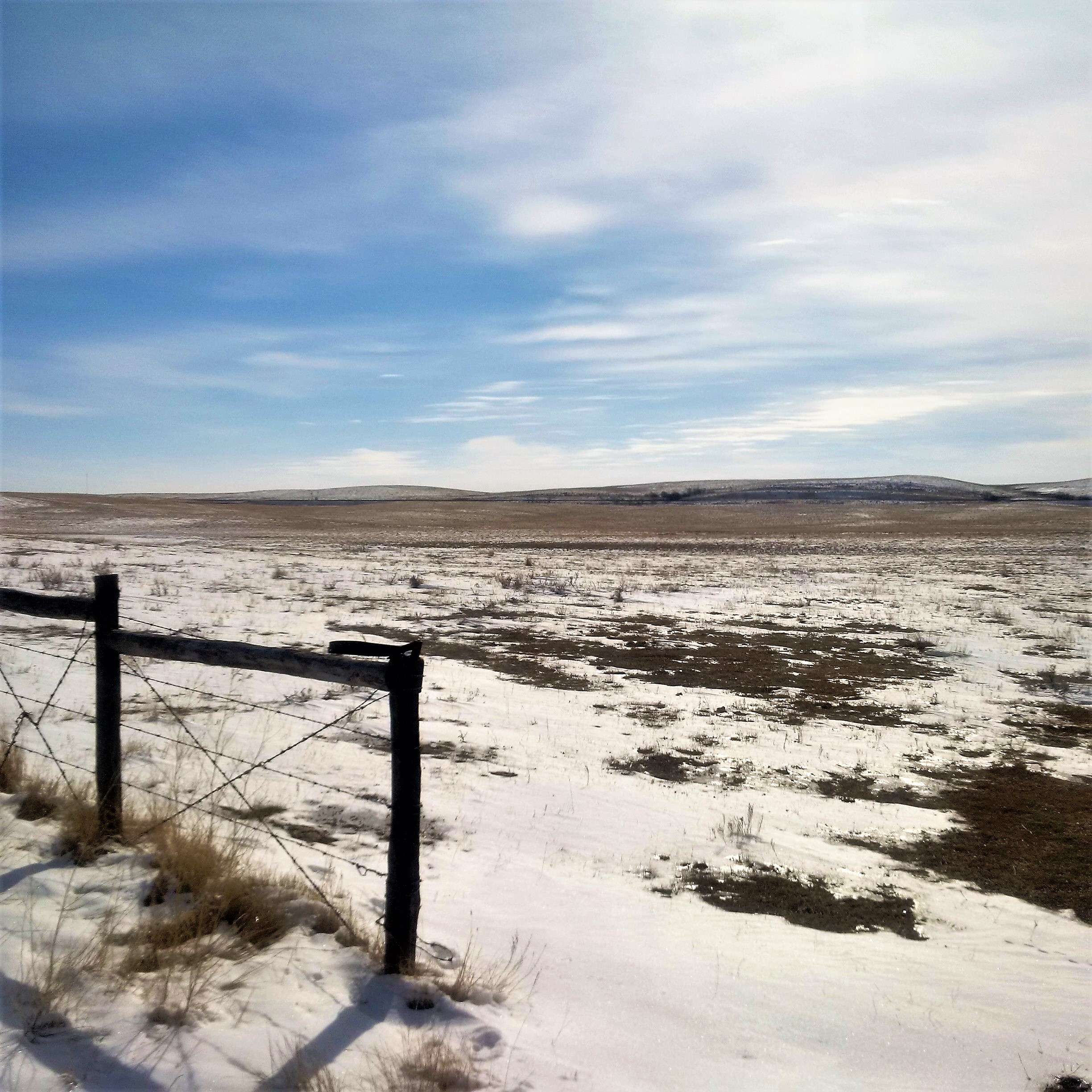 IMG_20180402_105427 (2)