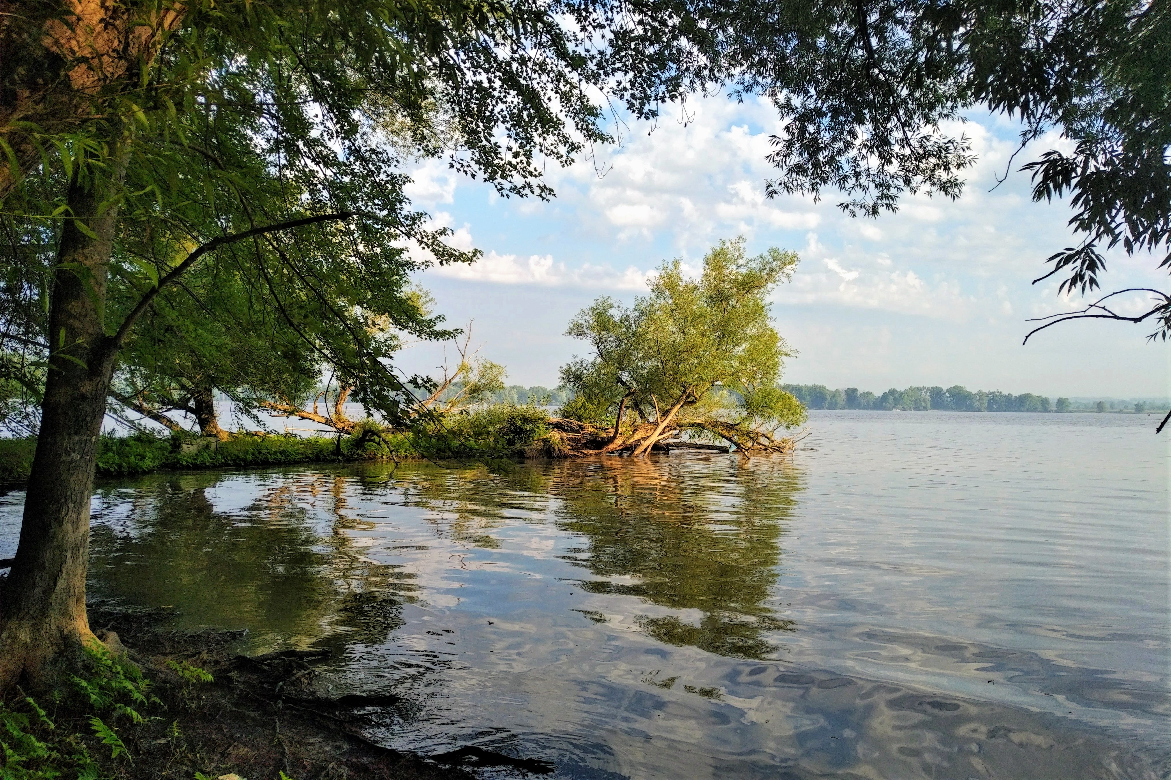 IMG_20180702_0715462 (2)