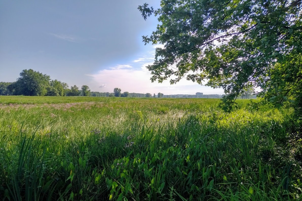 IMG_20180717_0904579