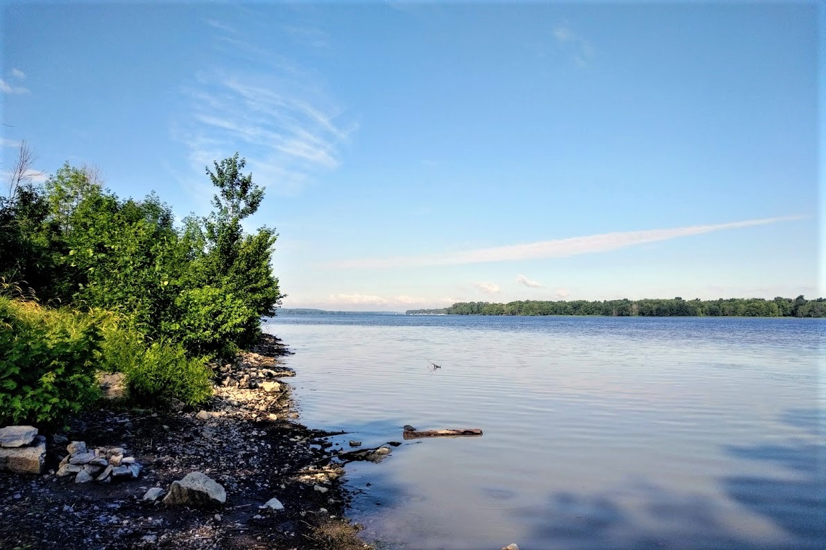 IMG_20180717_0844303 (2)