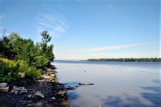 IMG_20180717_0844303 (2)