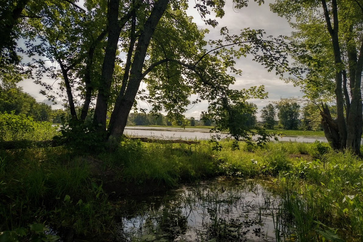 IMG_20180802_0953538 (2)