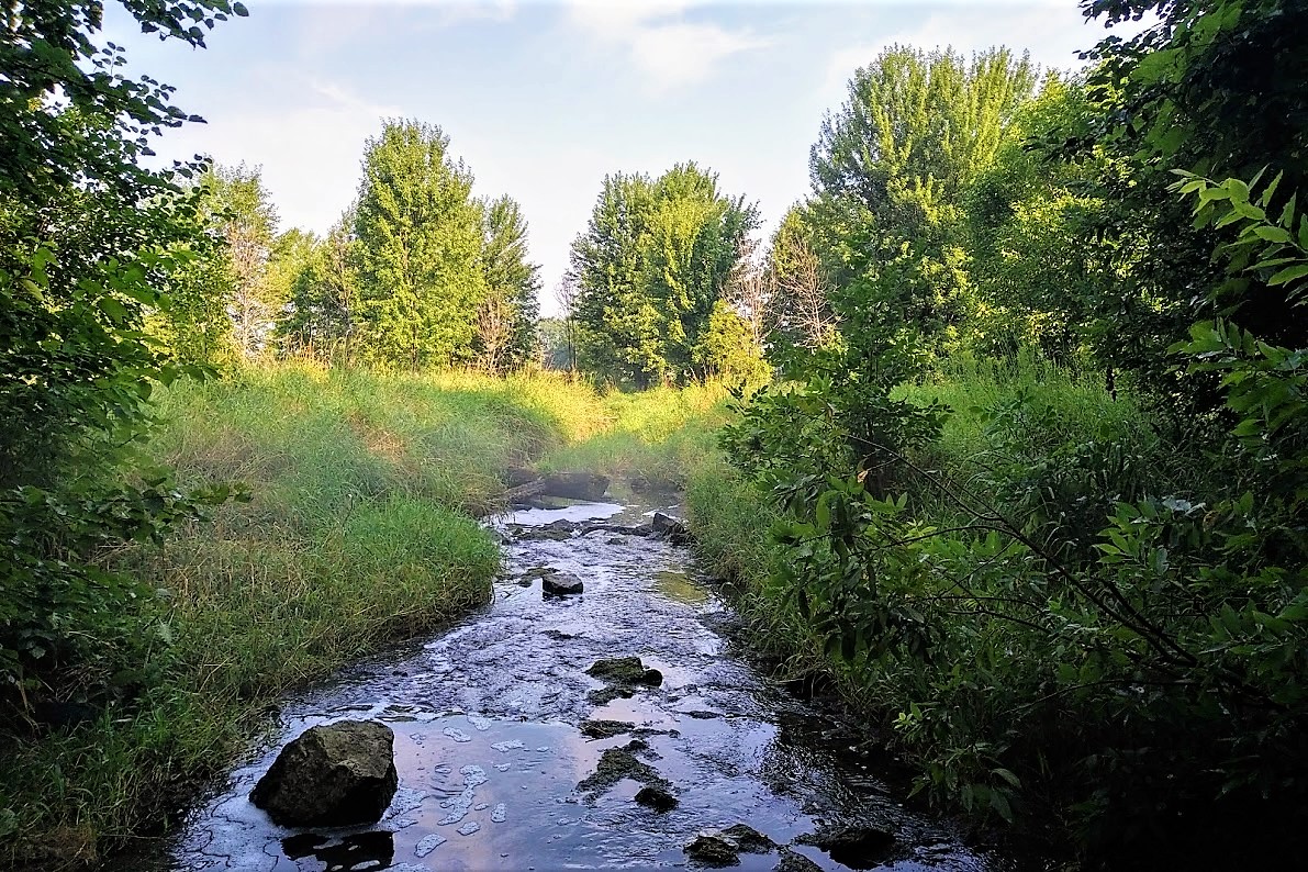 IMG_20180806_0923289