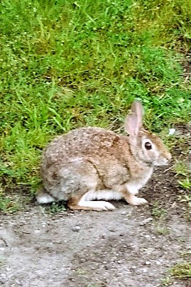 IMG_20180818_0700522