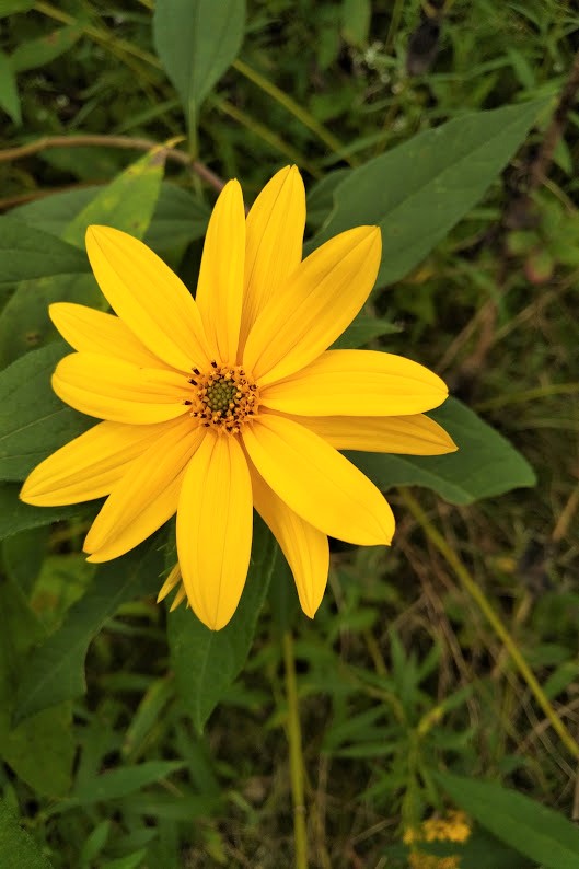 20180901_1048024 (2)