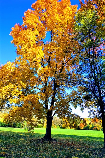 20181014_1254359 (2)