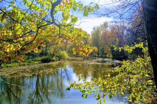 20181019_1426368-EFFECTS