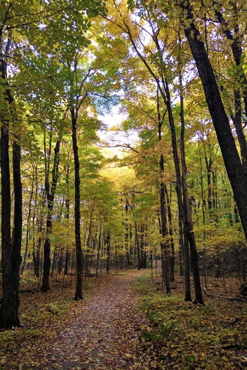 IMG_20181010_1427298