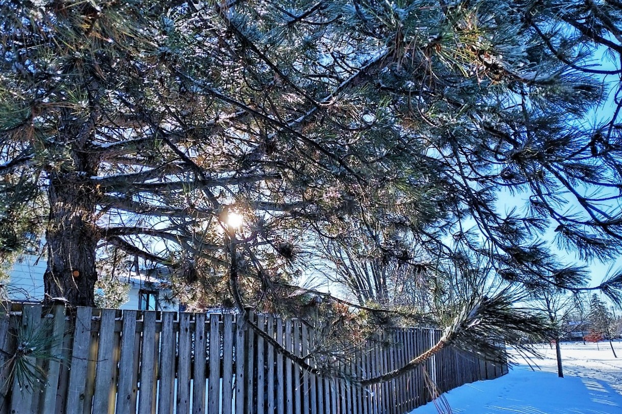 thumbnail_img_20190101_1418270