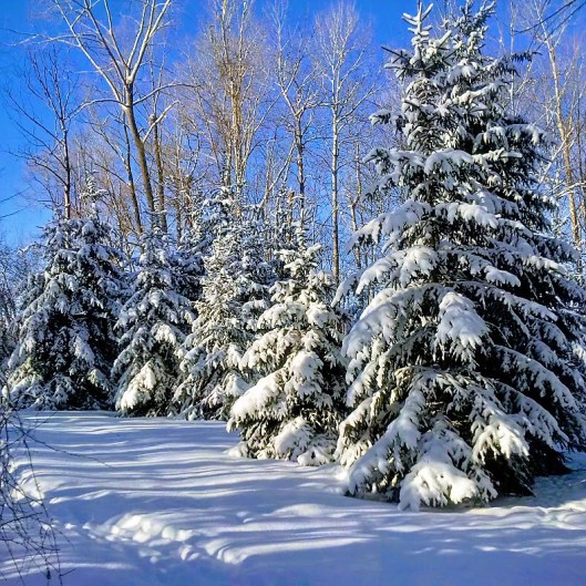 IMG_20180205_093331_hdr