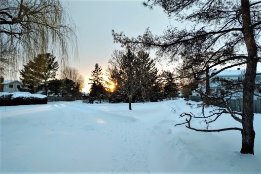 IMG_20190127_1635524