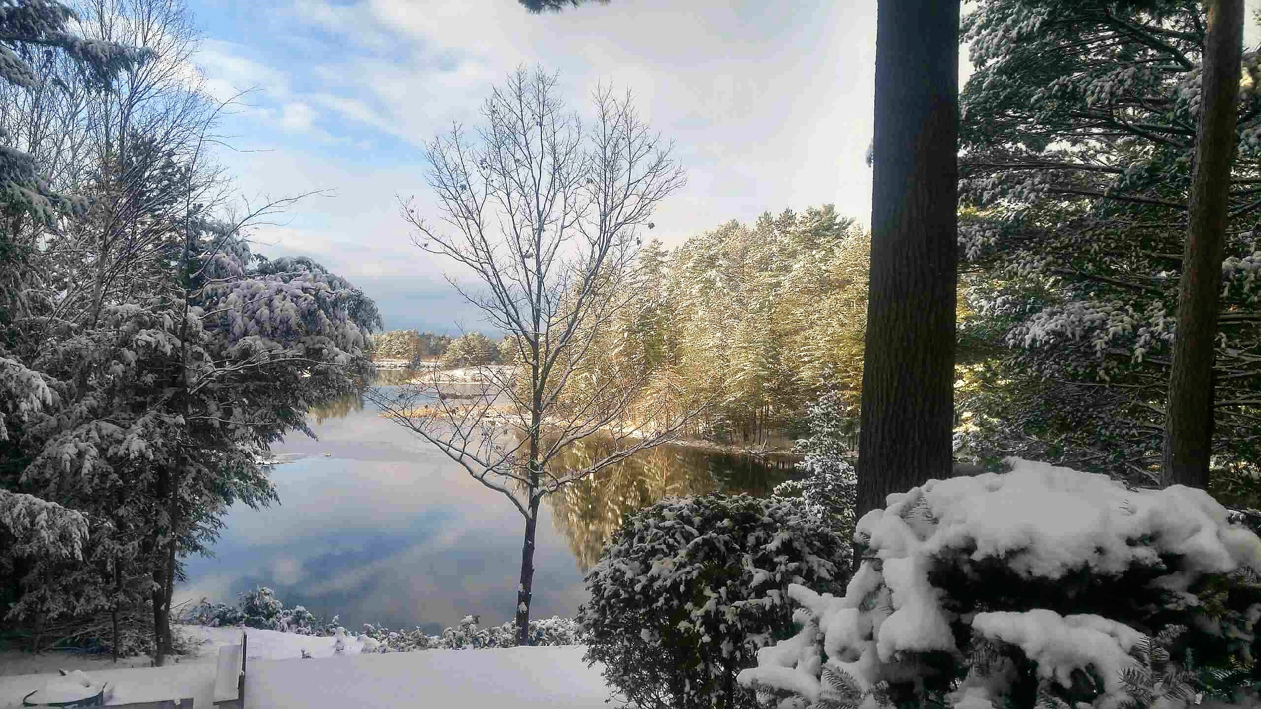 20161205_150201_HDR (1)