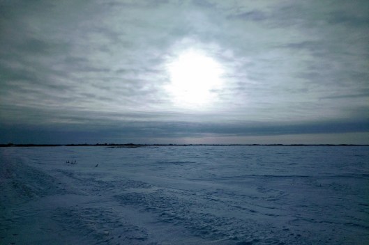 img_20190221_0934536