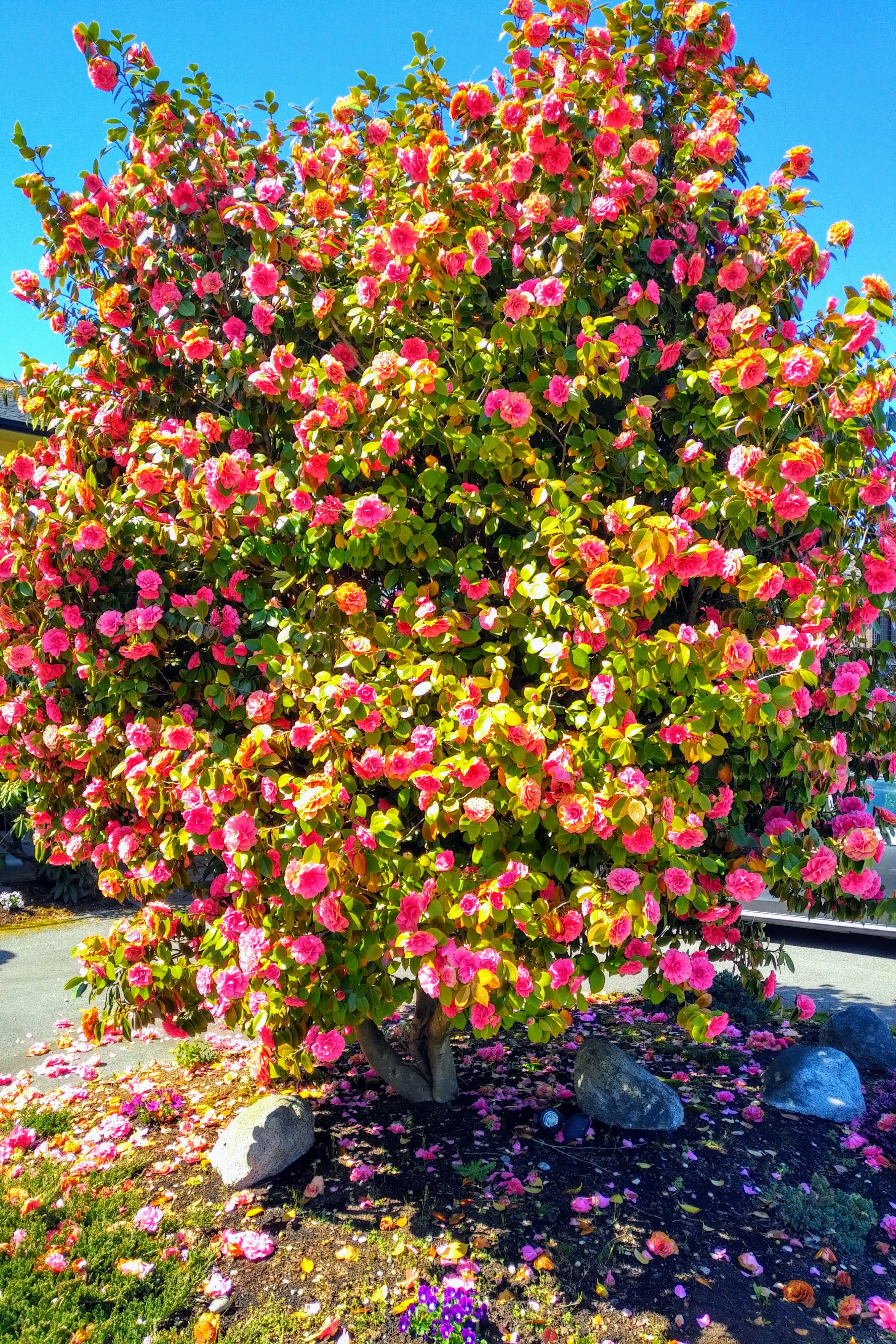 img_20190412_1411238-effects