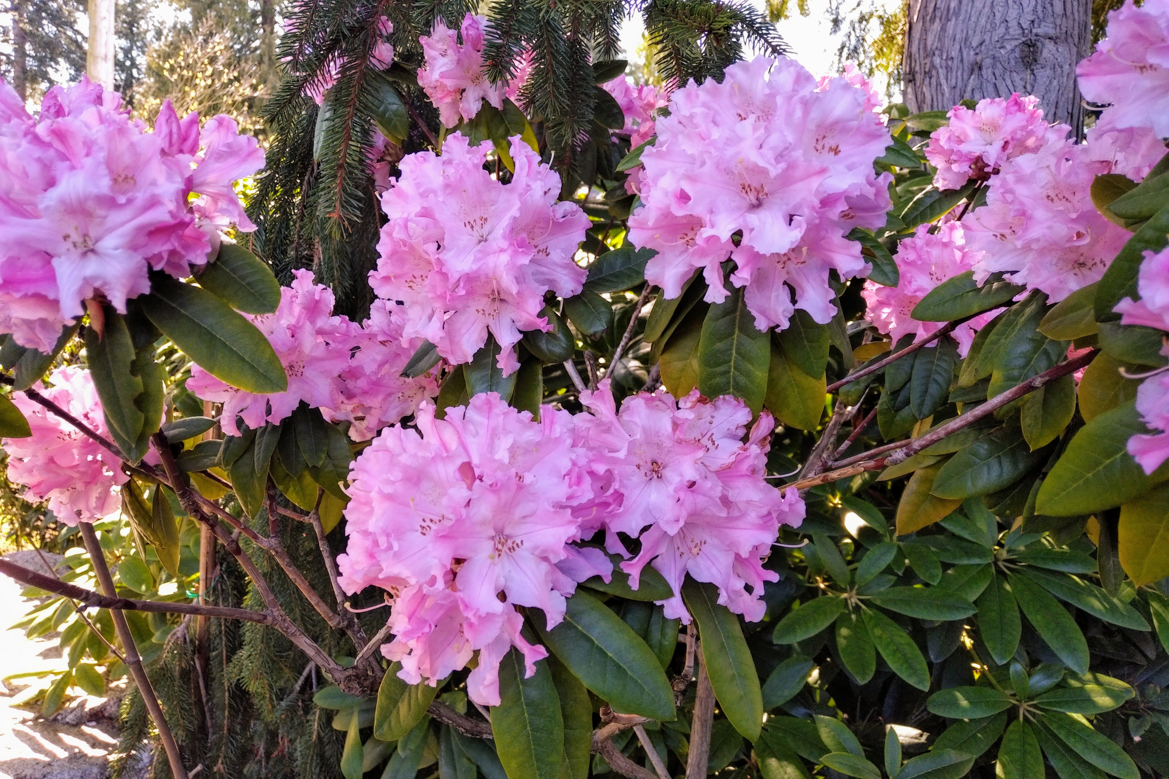 img_20190412_1524382