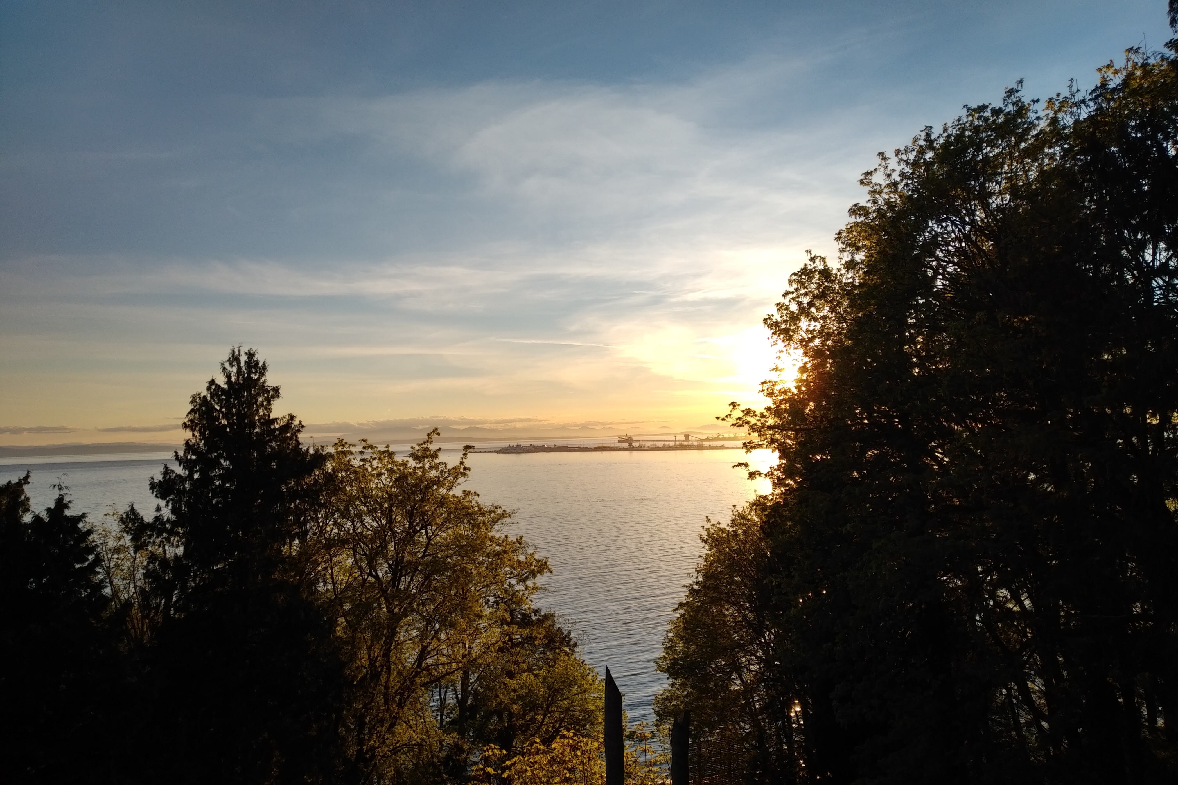 img_20190420_1945183