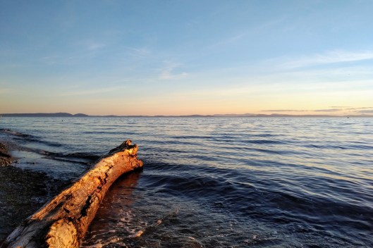 img_20190420_1951370