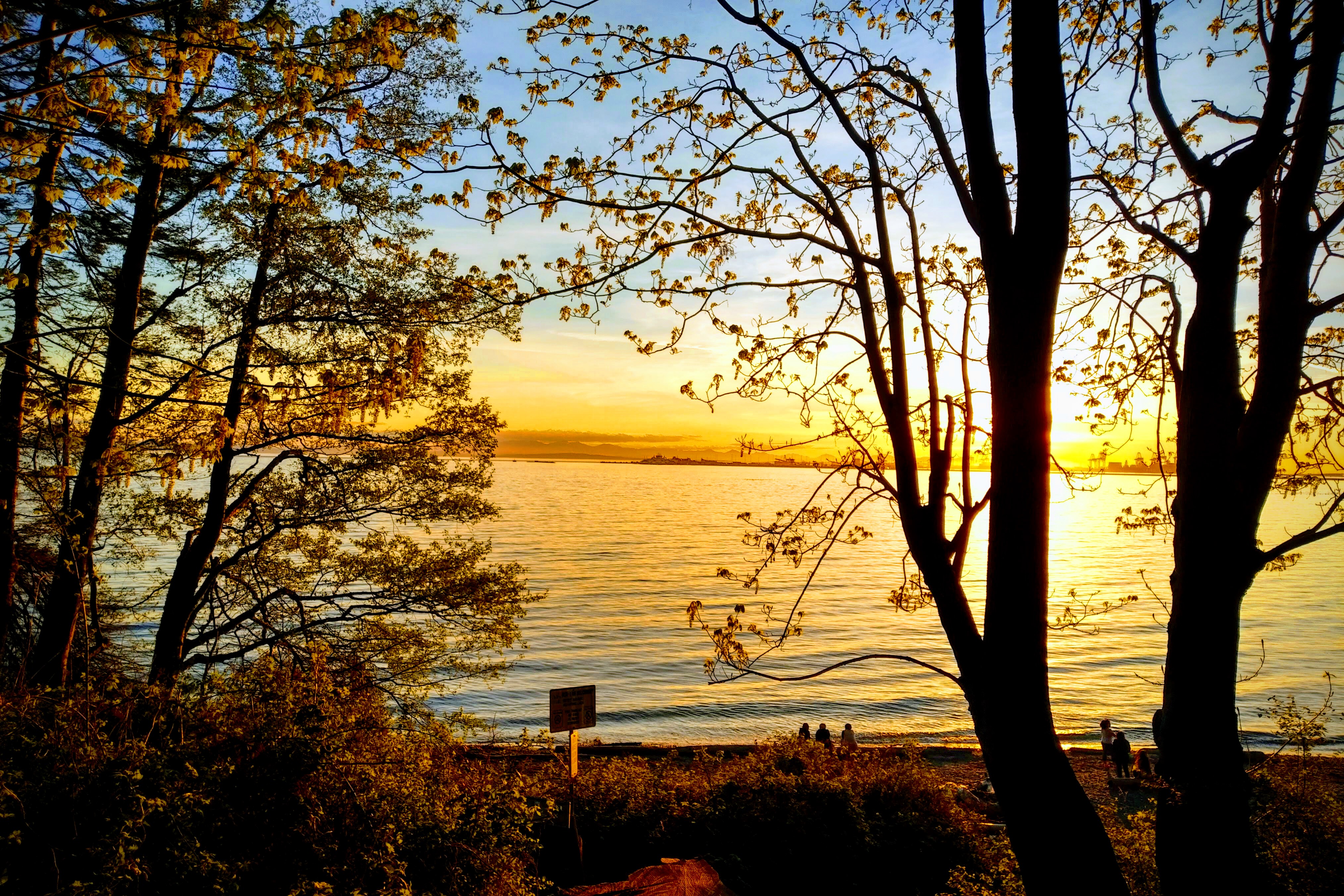 img_20190420_1955552-effects