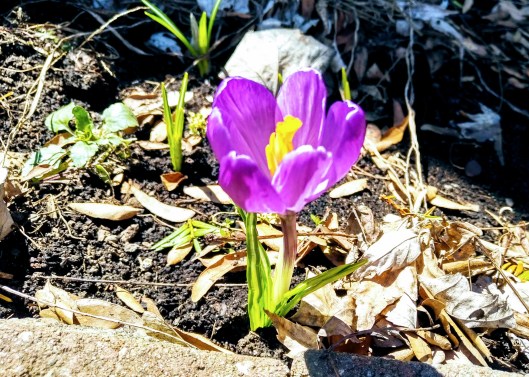 img_20190428_1312488