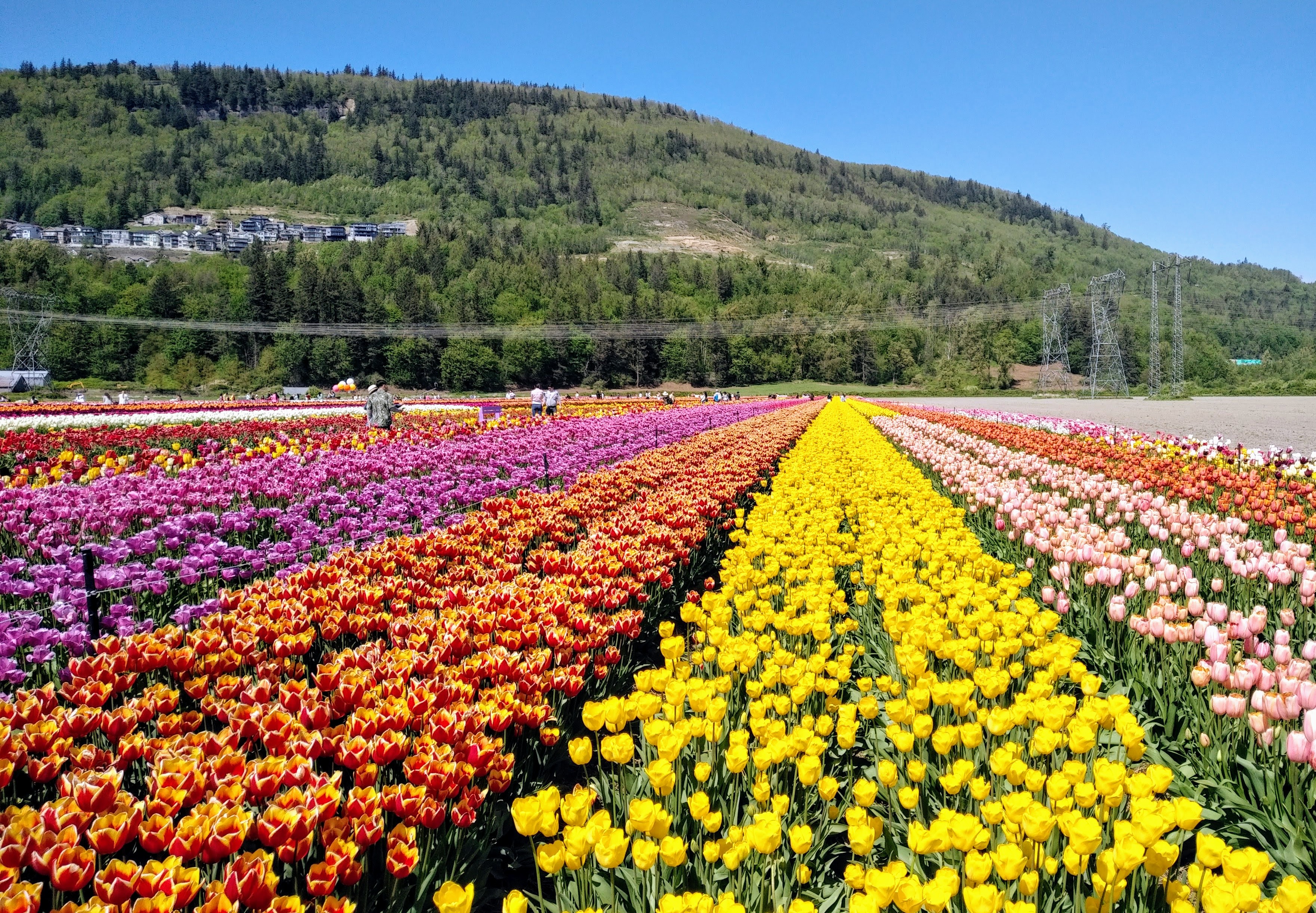 img_20190501_1358456-1