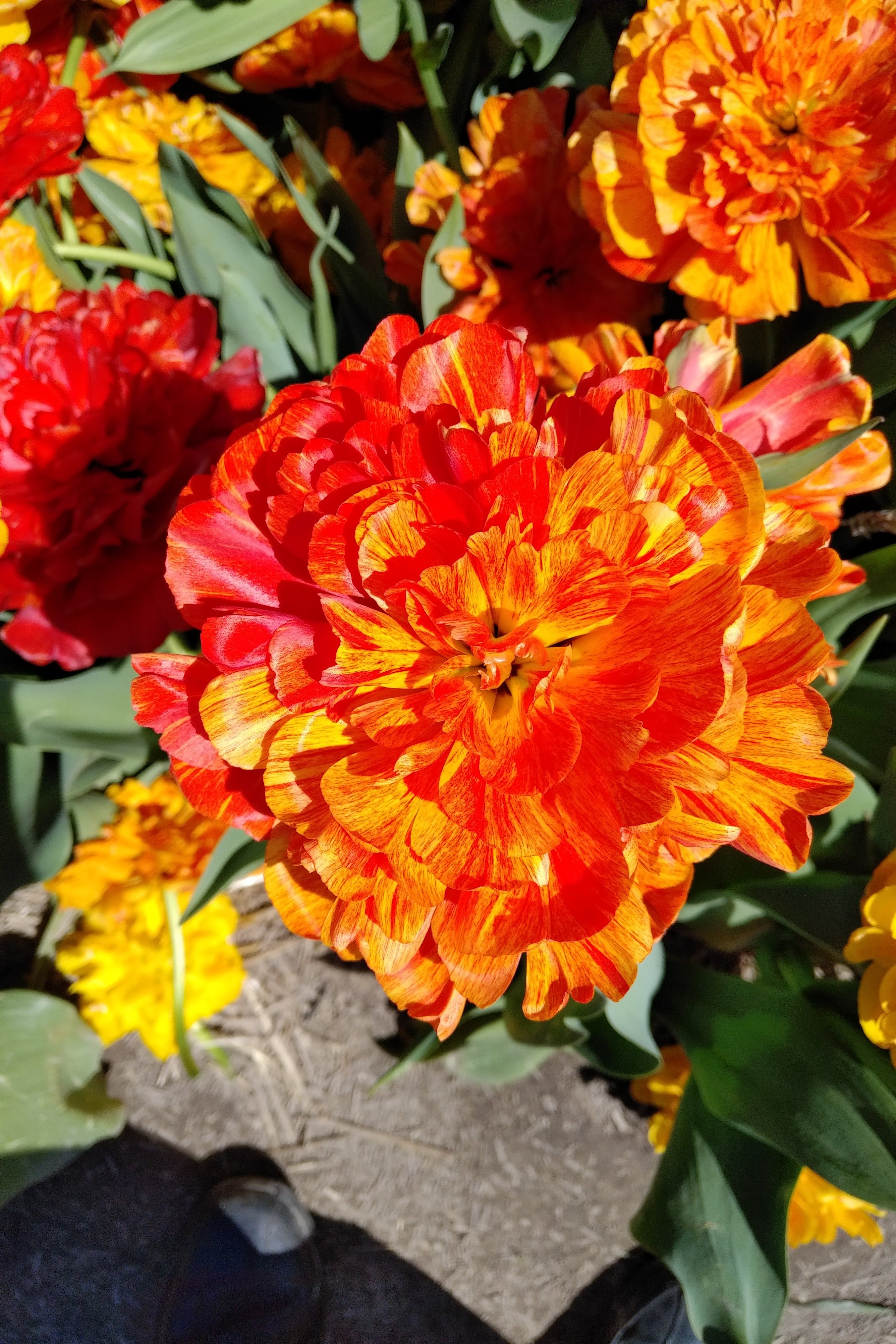 img_20190501_1441565