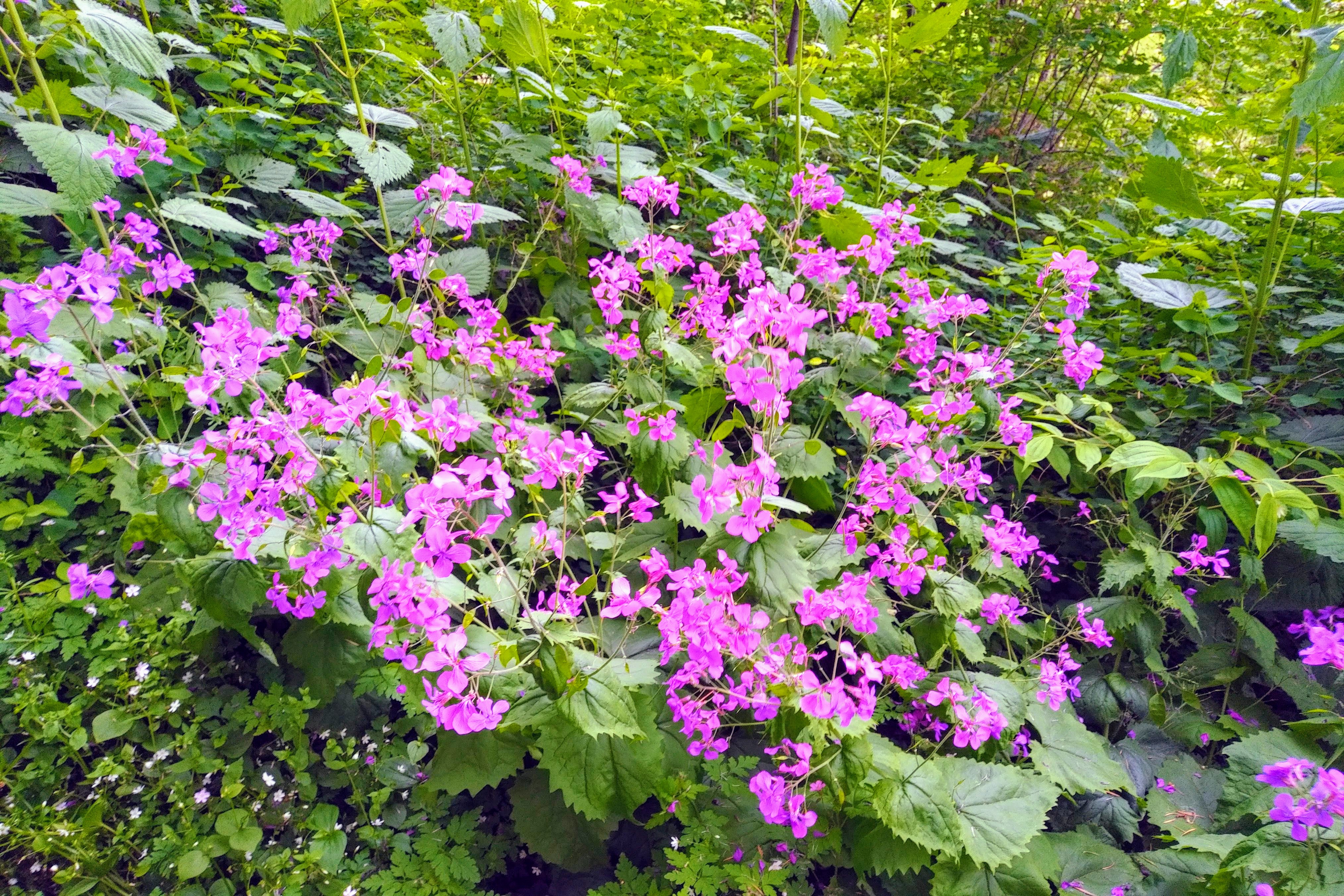 img_20190502_1747452-effects