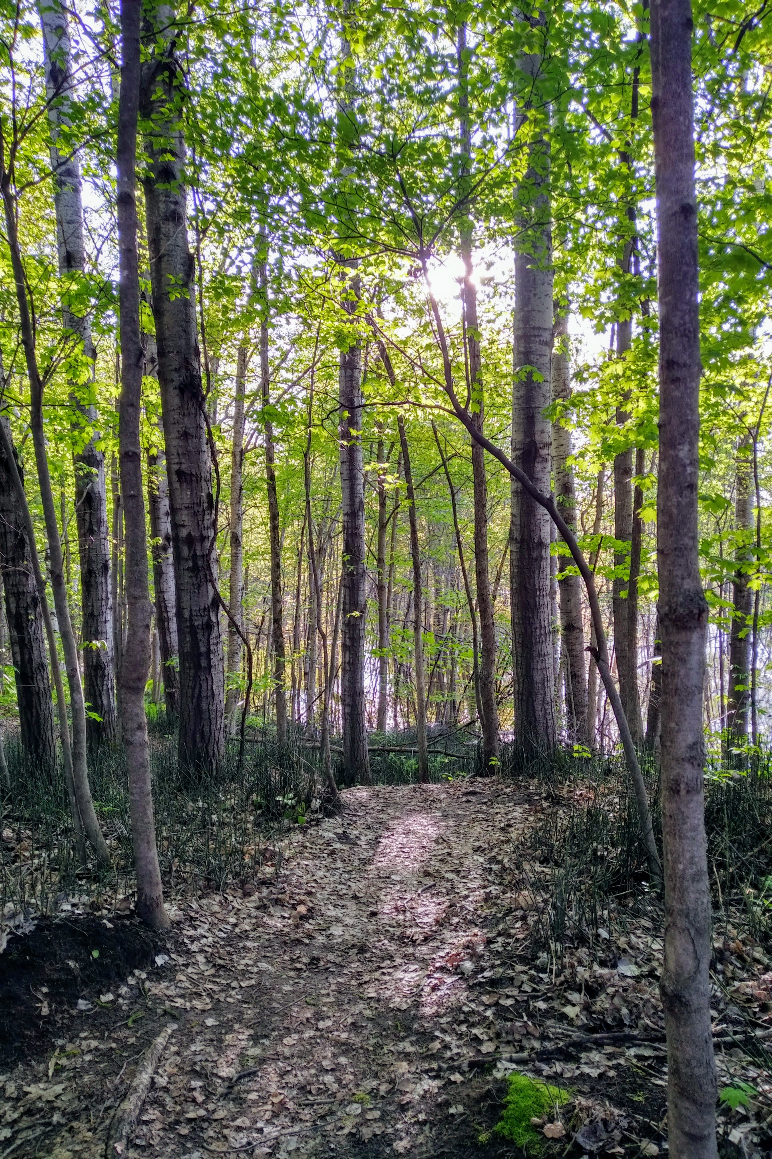 img_20190526_1846546