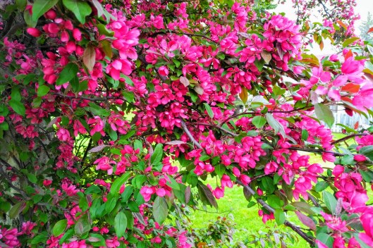 img_20190601_1129008-effects