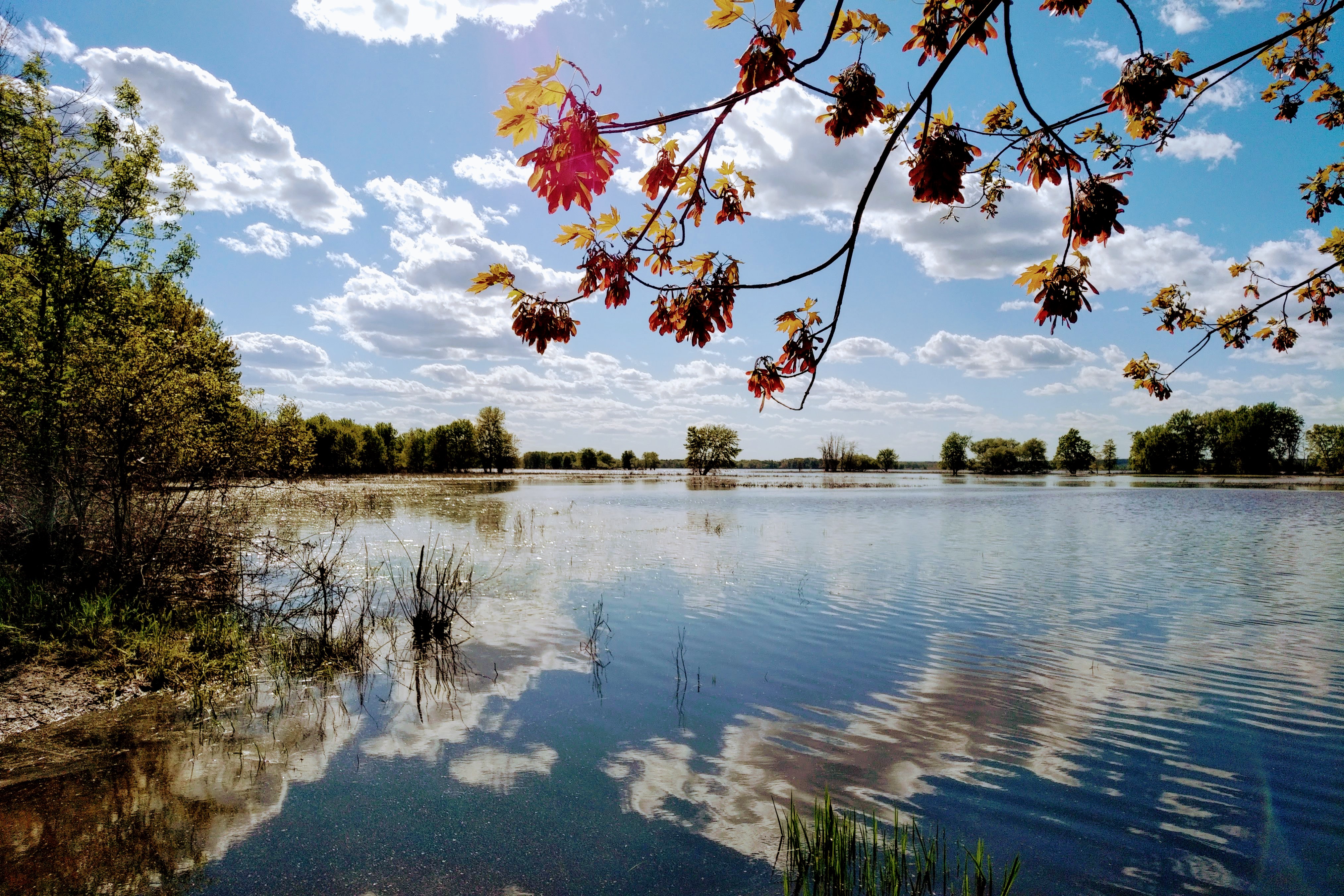 img_20190607_1646231