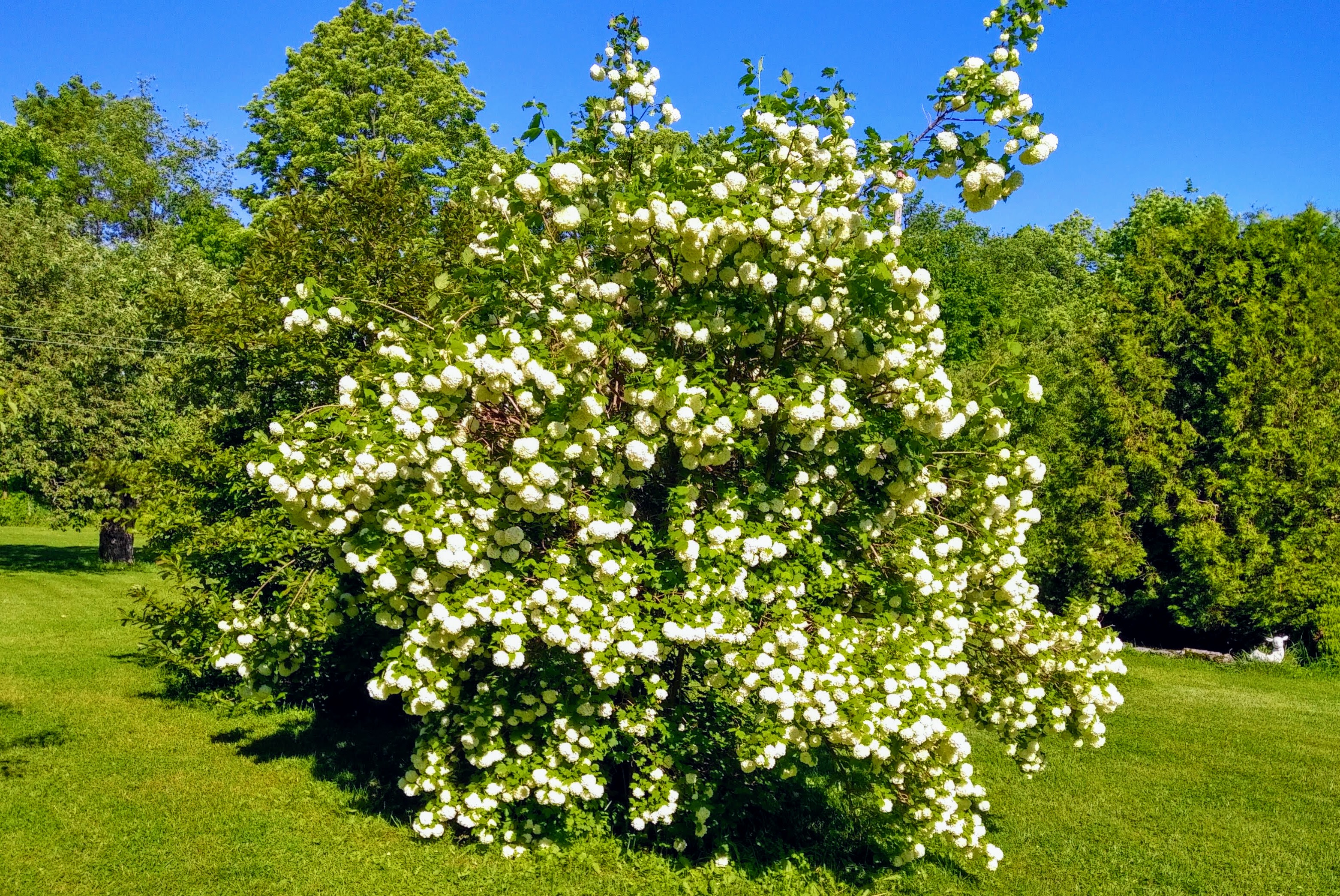 img_20190616_0928094-effects