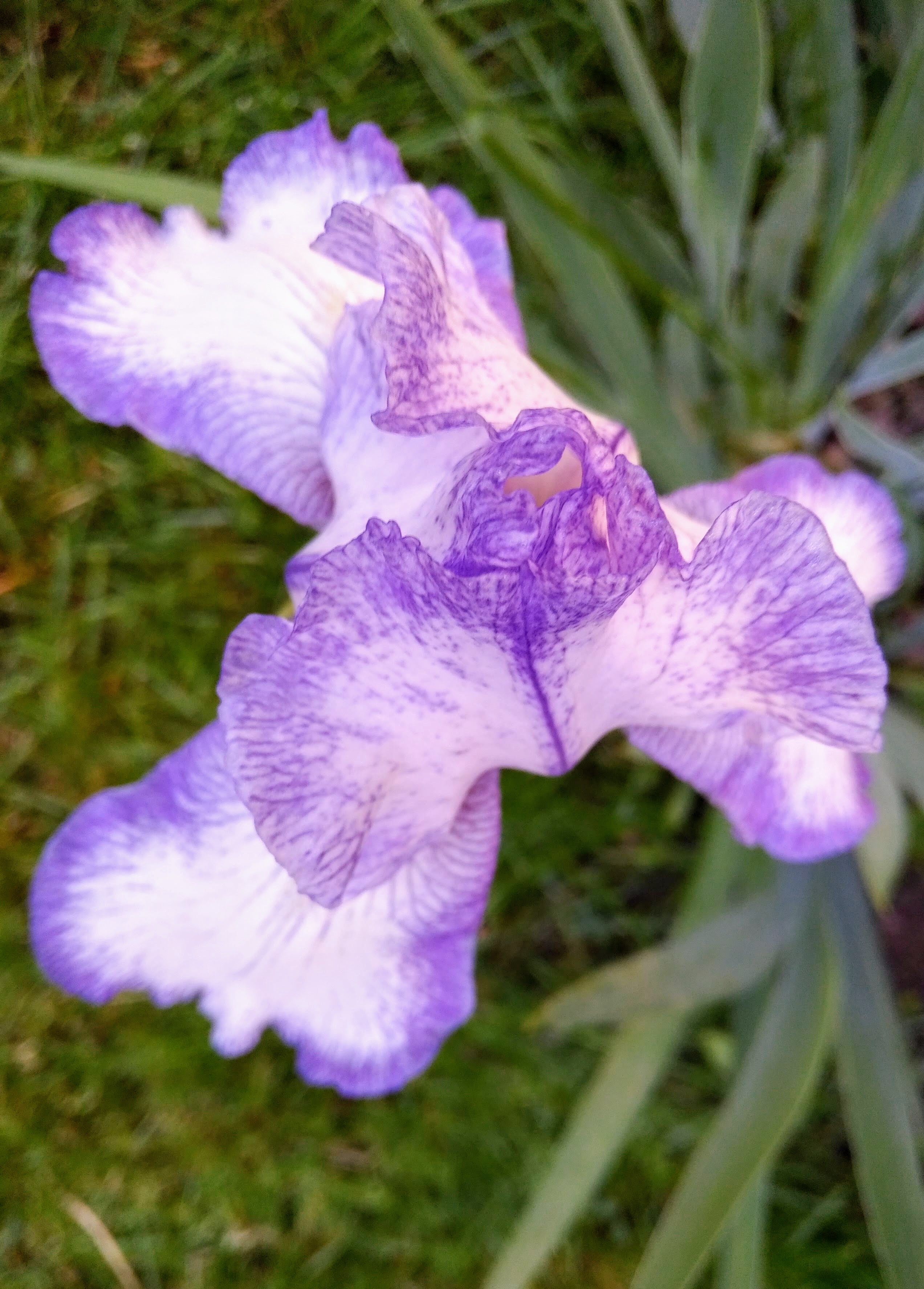 img_20190617_1922003