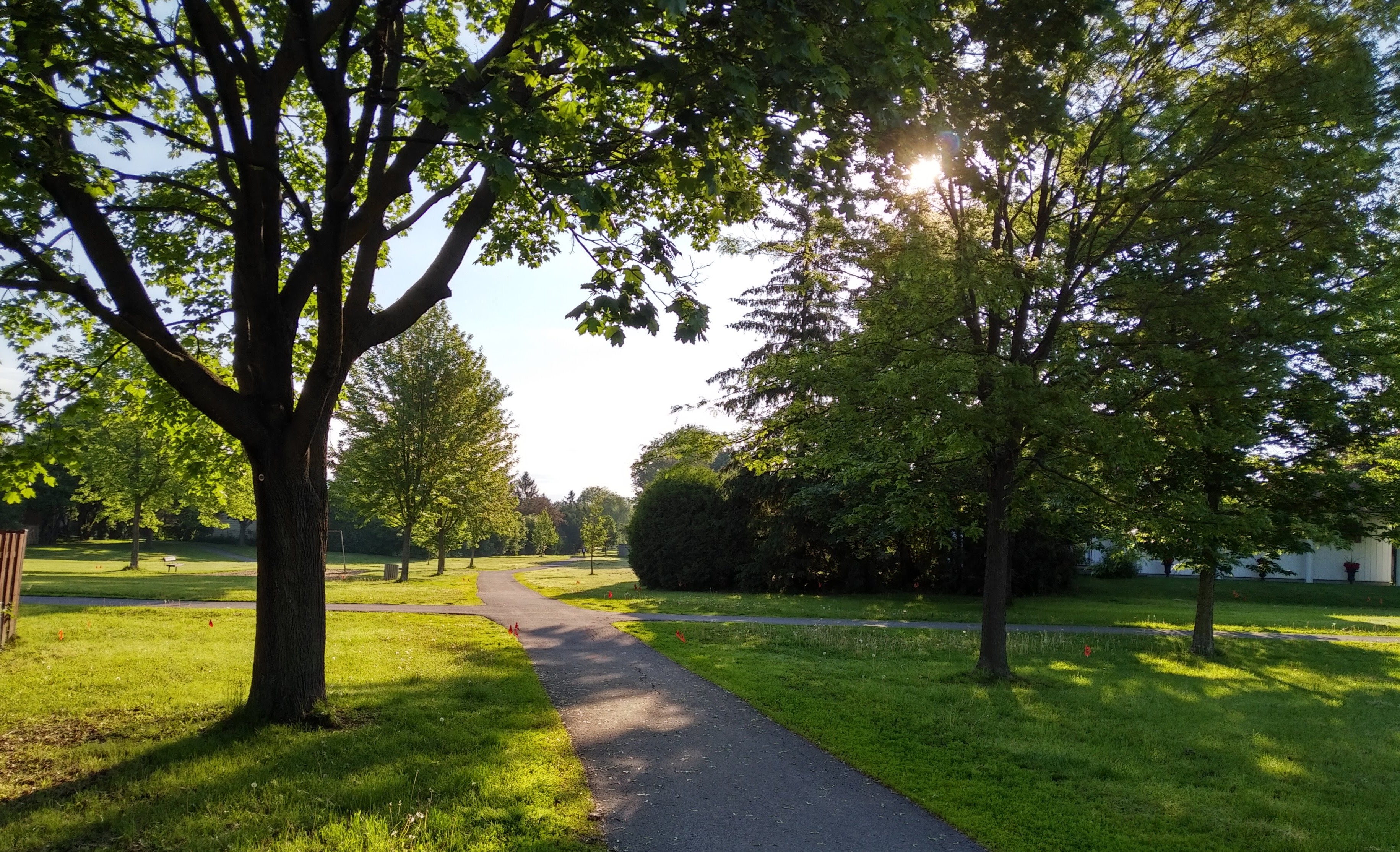 img_20190619_0713499