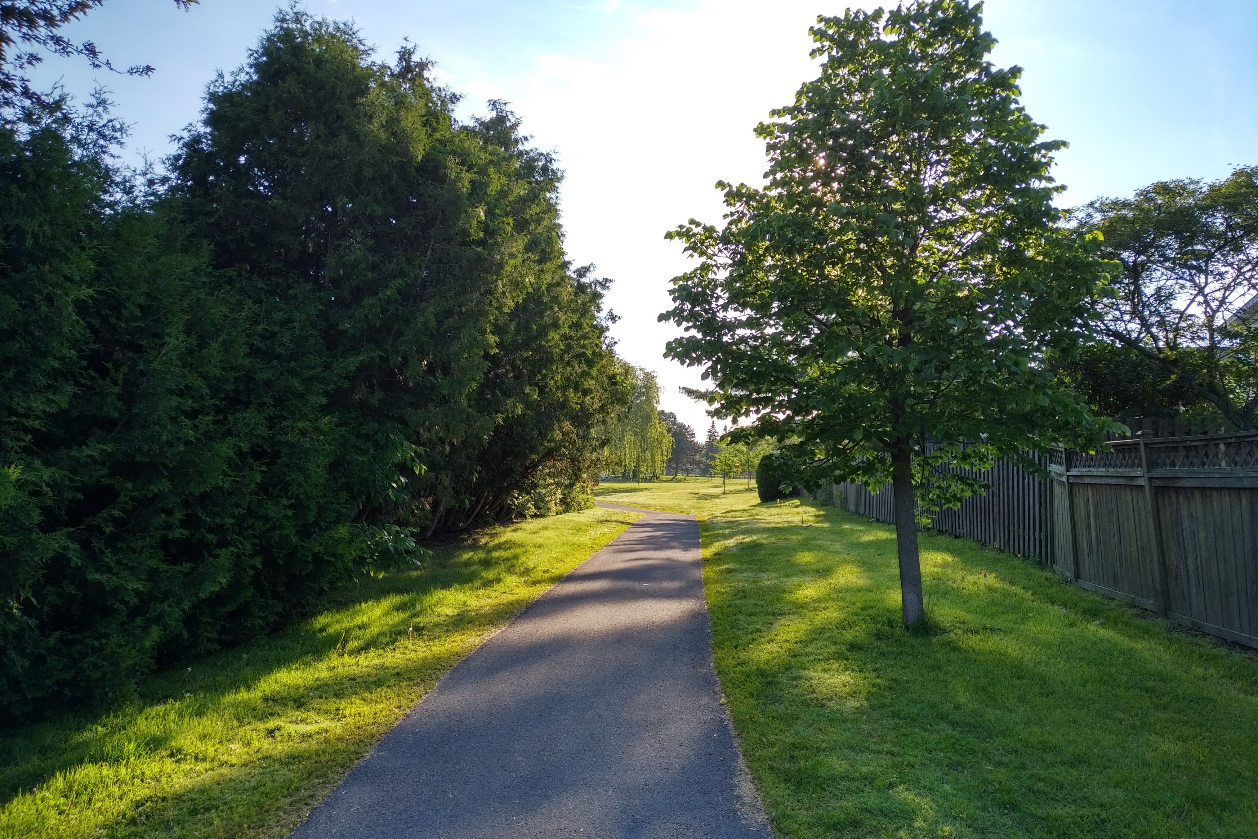 img_20190619_0716067