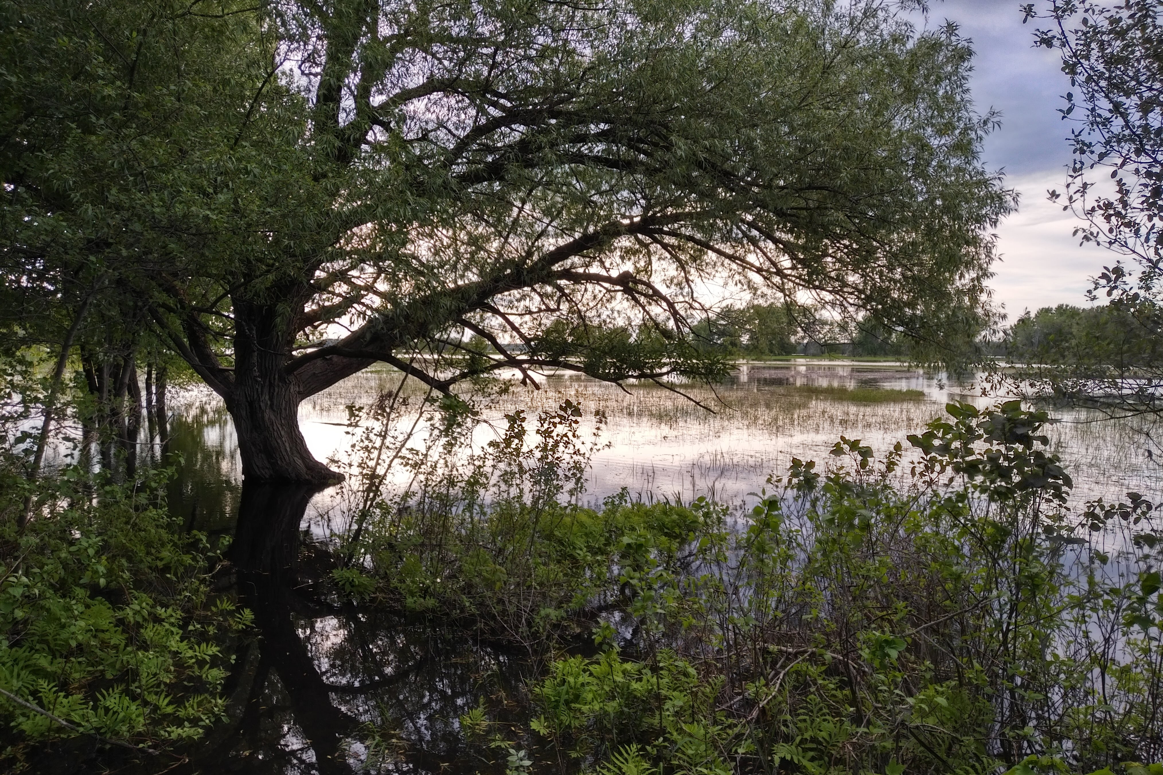 img_20190621_1911502