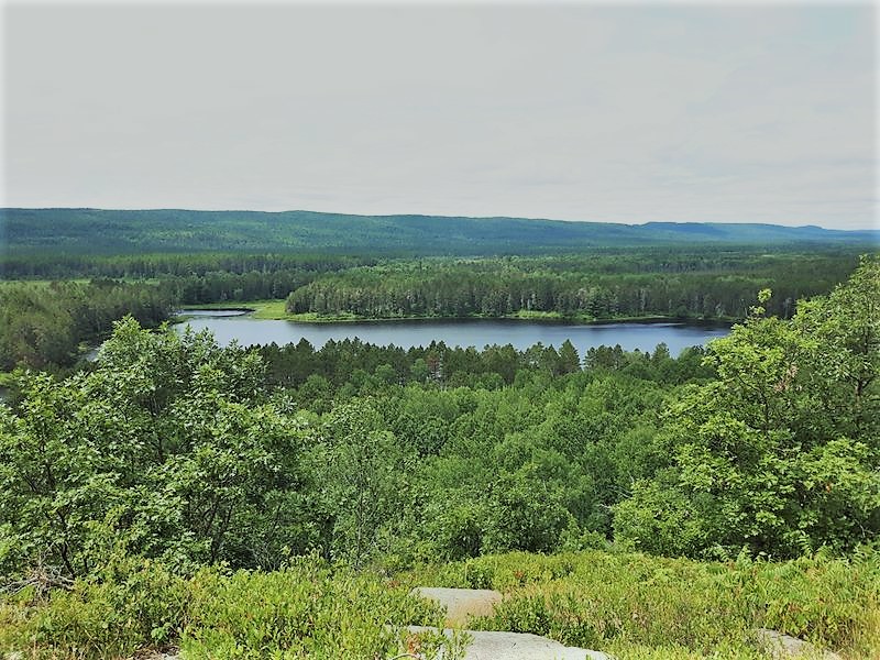Algonquin Park 2019-07-14 L Kranz